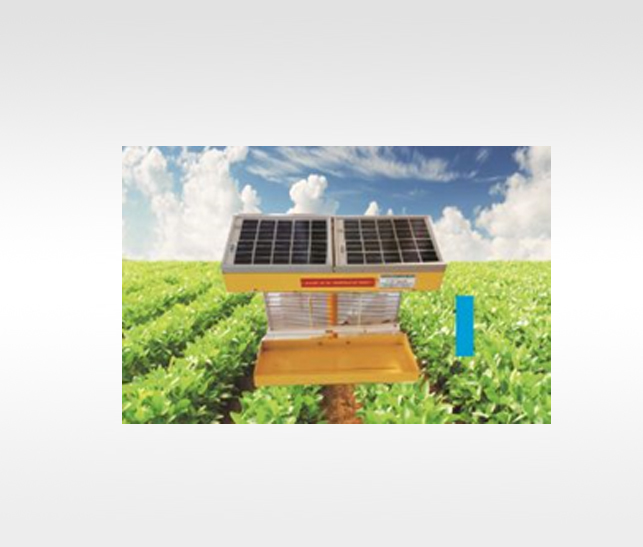 Hectare Solar insect trap 